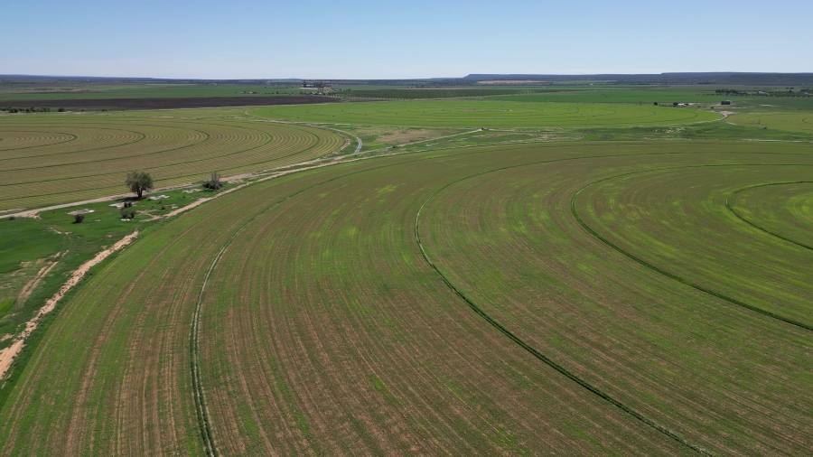 0 Bedroom Property for Sale in Douglas Rural Northern Cape